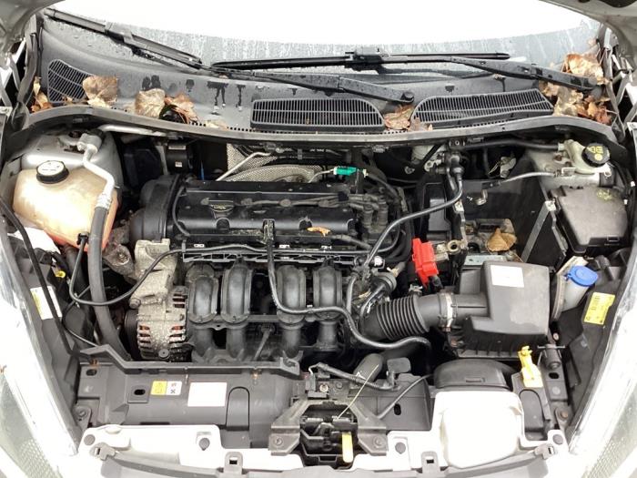 Używane Silnik Ford Fiesta 6 (JA8) 1.25 16V Cena € 585,00 Procedura marży oferowane przez Gebr Opdam B.V.