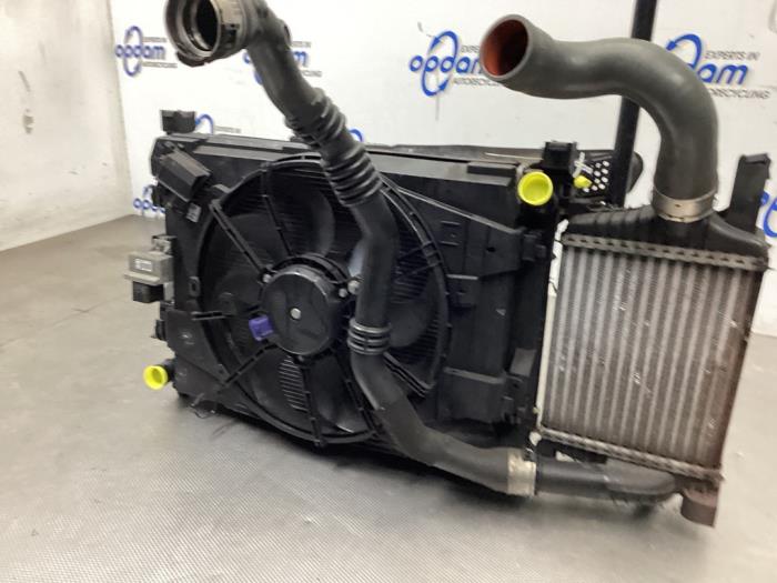 Cooling set from a Renault Clio IV (5R) 1.5 Energy dCi 90 FAP 2014
