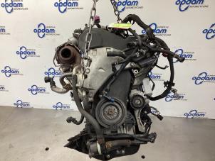 Used Engine Volkswagen Polo V (6R) 1.2 TDI 12V BlueMotion Price € 750,00 Margin scheme offered by Gebr Opdam B.V.