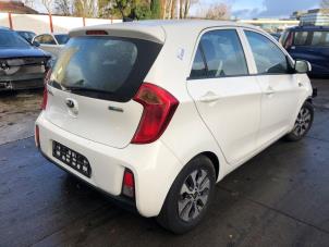 Used Rear door 4-door, right Kia Picanto (TA) 1.0 12V Price on request offered by Gebr Opdam B.V.