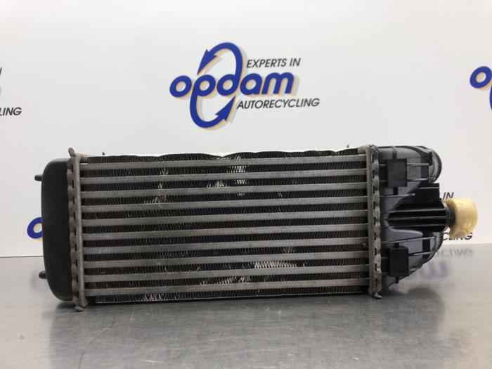 Usados Intercooler Citroen C3 (SC) 1.6 HDi 92 Precio € 68,00 Norma de margen ofrecido por Gebr Opdam B.V.