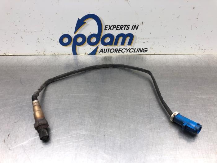 Usados Sonda Lambda Ford C-Max (DM2) 1.8 16V Precio € 27,00 Norma de margen ofrecido por Gebr Opdam B.V.