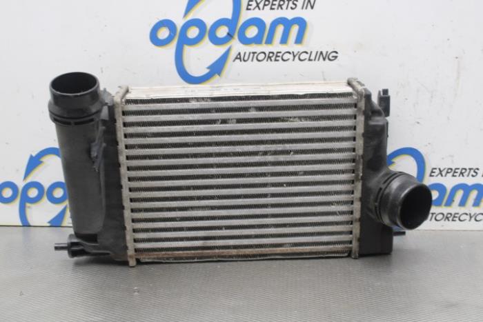 Usagé Intercooler Renault Kadjar (RFEH) 1.2 Energy TCE 130 Prix € 75,00 Règlement à la marge proposé par Gebr Opdam B.V.