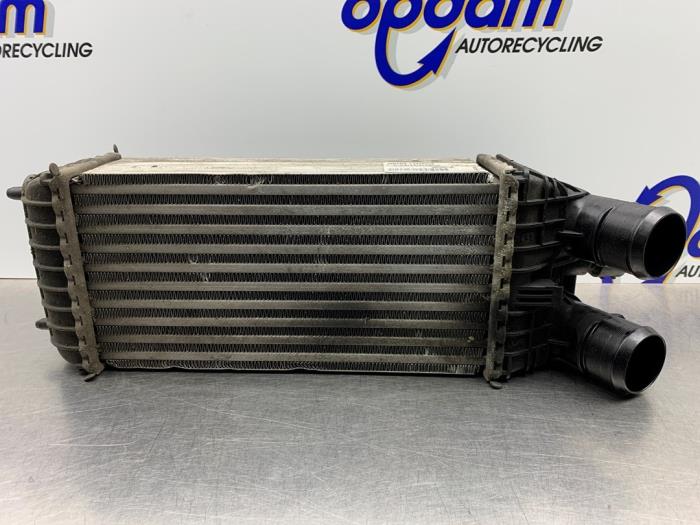 Usados Intercooler Citroen C4 Cactus (0B/0P) 1.2 PureTech 110 12V Precio € 112,00 Norma de margen ofrecido por Gebr Opdam B.V.