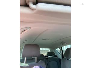 Gebrauchte Dachverkleidung Seat Altea (5P1) 1.6 Preis auf Anfrage angeboten von Gebr Opdam B.V.