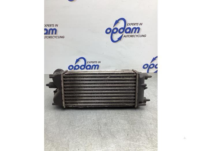 Used Intercooler Ford Fiesta 6 (JA8) 1.25 16V Price € 50,00 Margin scheme offered by Gebr Opdam B.V.