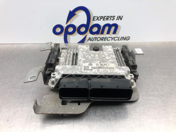 Used Engine management computer Volkswagen Touran (1T1/T2) 1.6 FSI 16V Price € 158,00 Margin scheme offered by Gebr Opdam B.V.