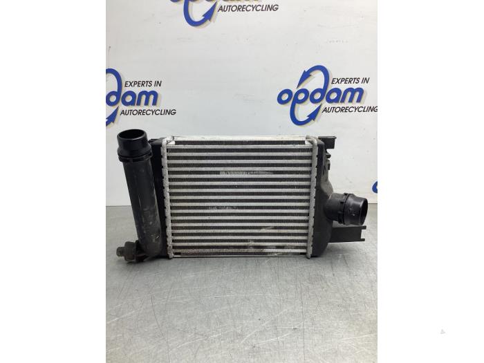 Used Intercooler Dacia Dokker (0S) 1.2 TCE 16V Price € 80,00 Margin scheme offered by Gebr Opdam B.V.