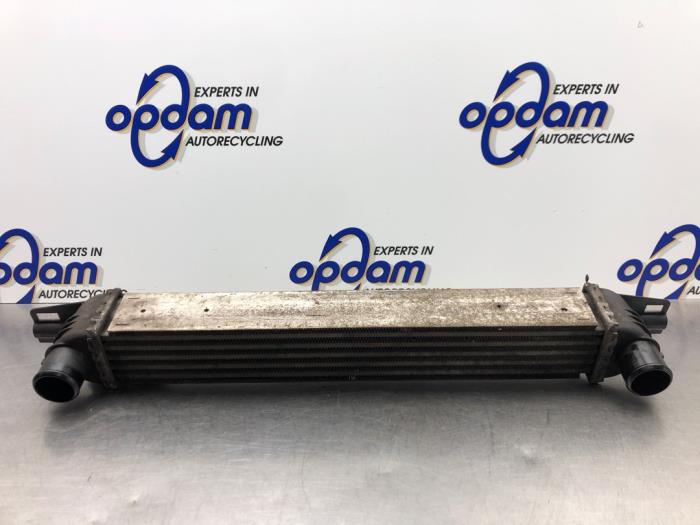 Usados Intercooler Fiat Fiorino (225) 1.3 JTD 16V Multijet Precio € 35,00 Norma de margen ofrecido por Gebr Opdam B.V.