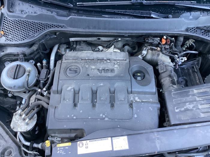 Gebrauchte Motor Seat Leon ST (5FF) 1.6 TDI Ecomotive 16V Preis € 1.500,00 Margenregelung angeboten von Gebr Opdam B.V.