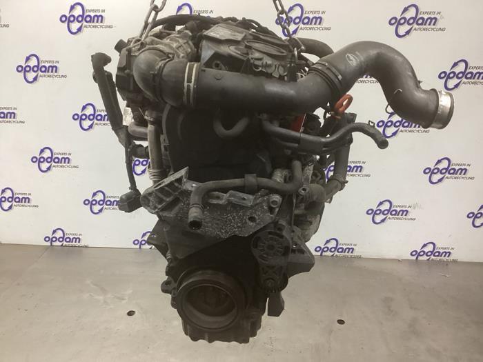 Engine Volkswagen Caddy III 1.9 TDI - 03G100037H BLS