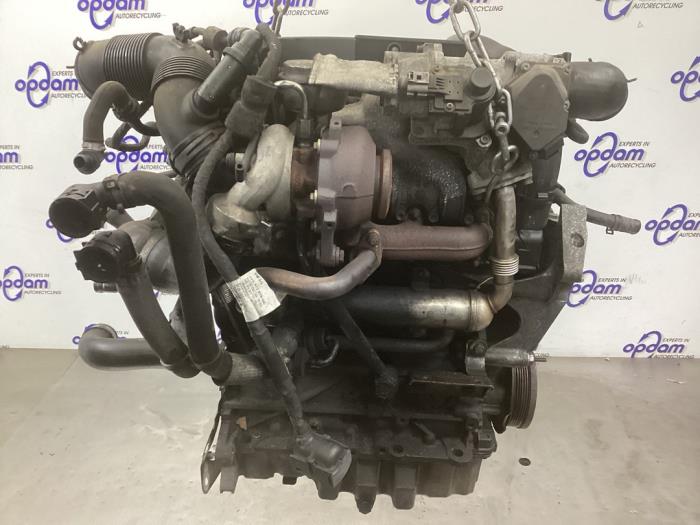 Engine Volkswagen Caddy III 1.9 TDI - 03G100037H BLS