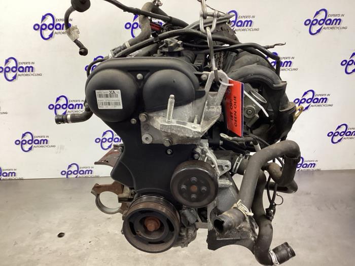 B Shda Moteur Ford Focus 2 1.6 16V - 1472848 SHDA - Gebr Opdam B.V.