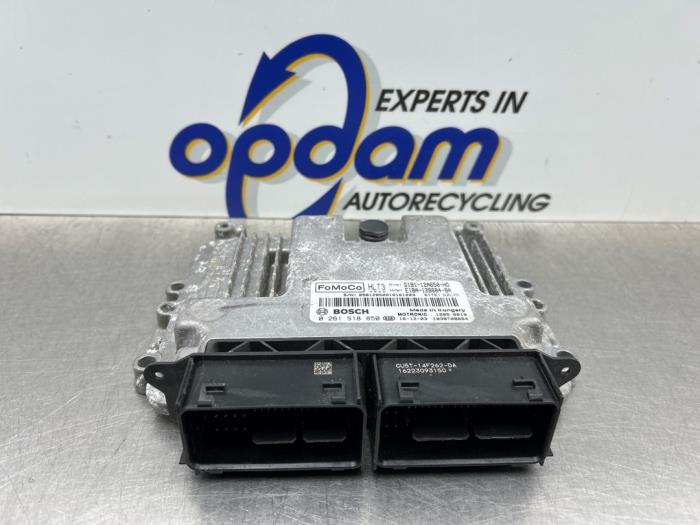 Used Engine management computer Ford Fiesta 6 (JA8) 1.0 SCI 12V 80 Price € 125,00 Margin scheme offered by Gebr Opdam B.V.