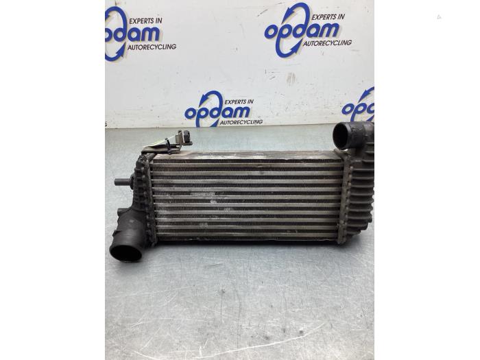 Used Intercooler Ford Transit Connect (PJ2) 1.6 TDCi 16V 75 Price € 50,00 Margin scheme offered by Gebr Opdam B.V.