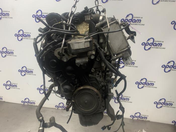 Engine Ford Focus 3 Wagon 1.6 TDCi ECOnetic - CV6Q6006AB NGDB