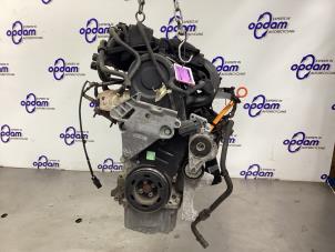 Usagé Moteur Volkswagen Touran (1T1/T2) 1.6 Prix € 500,00 Règlement à la marge proposé par Gebr Opdam B.V.