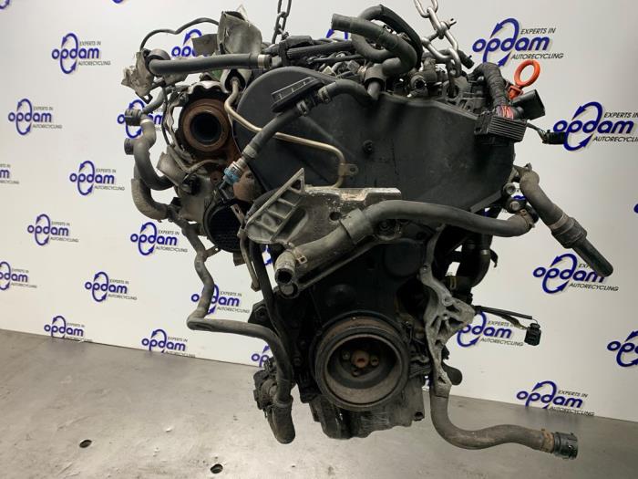 Used Engine Volkswagen Golf VII (AUA) 1.6 TDI 16V Price € 1.500,00 Margin scheme offered by Gebr Opdam B.V.