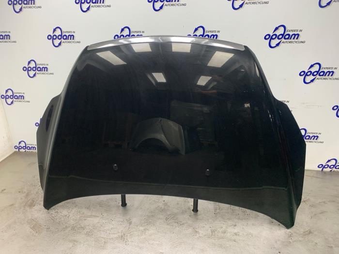 Używane Maska Ford Focus 2 C+C 2.0 16V Cena € 100,00 Procedura marży oferowane przez Gebr Opdam B.V.