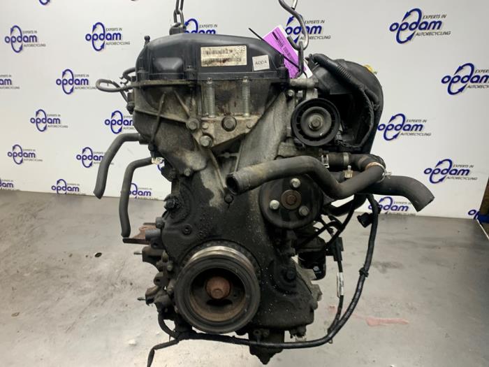 Used Engine Ford Focus 2 C+C 2.0 16V Price € 850,00 Margin scheme offered by Gebr Opdam B.V.