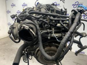 Motor van een Ford Focus 2 C+C 2.0 16V 2008