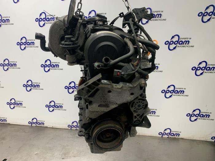 Gebrauchte Motor Volkswagen Caddy III (2KA,2KH,2CA,2CH) 2.0 SDI Preis € 500,00 Margenregelung angeboten von Gebr Opdam B.V.