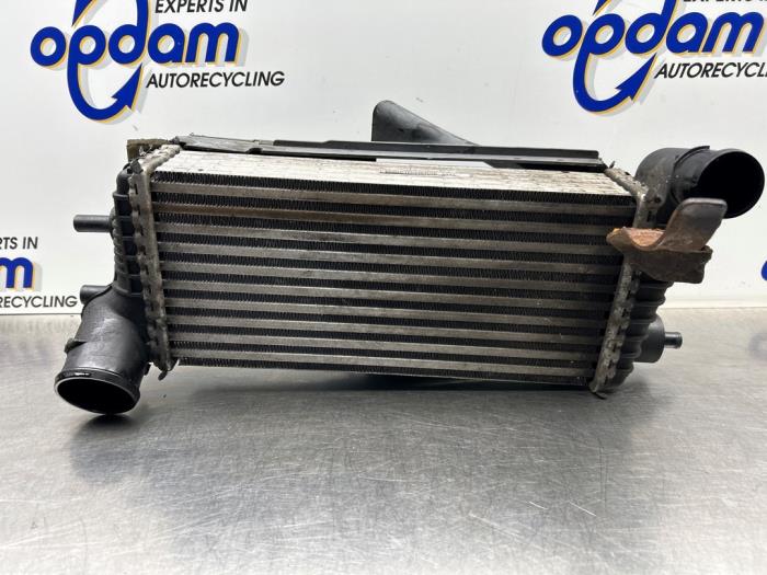 Usados Intercooler Ford Focus 3 Wagon 1.6 TDCi Precio € 60,00 Norma de margen ofrecido por Gebr Opdam B.V.