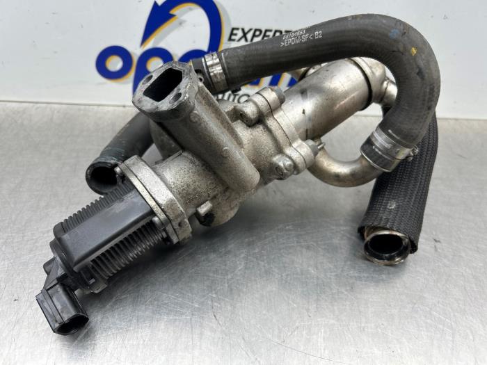 Usagé Valve RGE Fiat Fiorino (225) 1.3 JTD 16V Multijet Prix € 75,00 Règlement à la marge proposé par Gebr Opdam B.V.