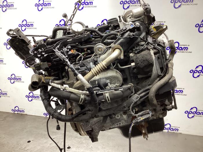 Used Engine Ford Fiesta 6 (JA8) 1.5 TDCi Price € 1.500,00 Margin scheme offered by Gebr Opdam B.V.
