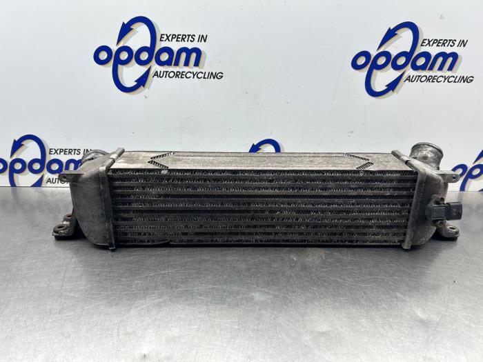 Intercooler Hyundai H-300, 2008 2.5 CRDi, Delivery, Diesel, 2.497cc, 125kW (170pk), RWD, D4CB, 2008-02 (Used)
