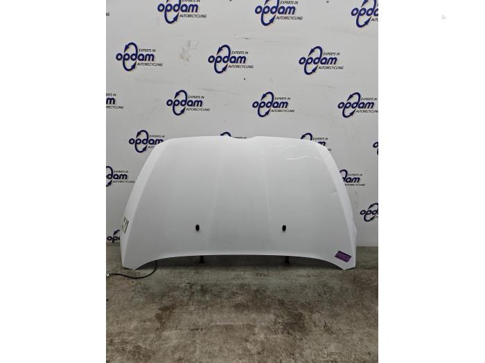 Używane Maska Ford B-Max (JK8) 1.0 EcoBoost 12V 100 Cena € 125,00 Procedura marży oferowane przez Gebr Opdam B.V.