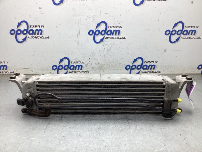 Used Intercooler Hyundai H-300 2.5 CRDi Price € 100,00 Margin scheme offered by Gebr Opdam B.V.