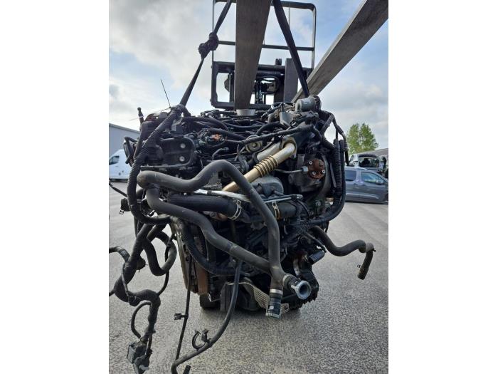 Used Engine Ford Transit Connect (PJ2) 1.5 TDCi ECOnetic Price € 2.400,00 Margin scheme offered by Gebr Opdam B.V.
