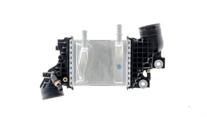 Neuf Intercooler Volkswagen Crafter Prix € 393,25 Prix TTC proposé par Gebr Opdam B.V.