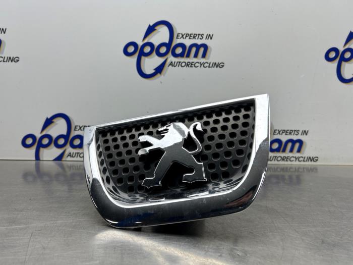 Begagnade Grill Peugeot 3008 I (0U/HU) 1.6 16V THP 155 Pris € 25,00 Marginaltabell erbjuds av Gebr Opdam B.V.