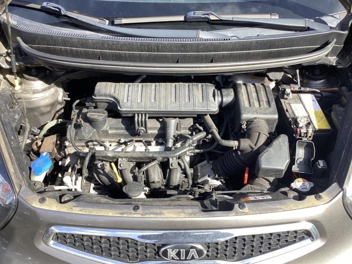 Begagnade Motor Kia Picanto (TA) 1.2 16V Pris på förfrågan erbjuds av Gebr Opdam B.V.