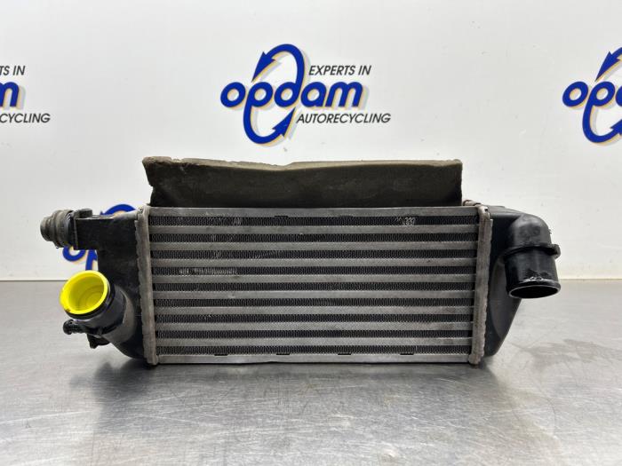 Usados Intercooler Fiat 500 (312) 0.9 TwinAir 80 Precio € 50,00 Norma de margen ofrecido por Gebr Opdam B.V.
