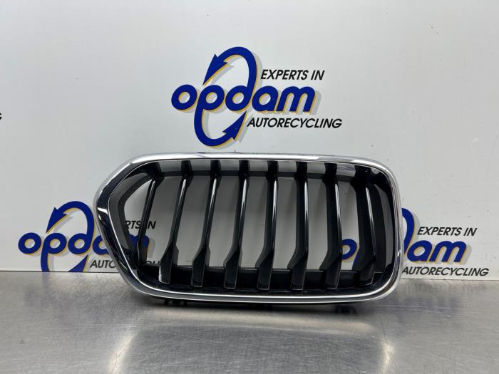 Używane Grill BMW X2 (F39) sDrive 18i 1.5 12V TwinPower Turbo Cena € 30,00 Procedura marży oferowane przez Gebr Opdam B.V.