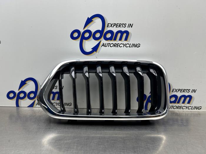 Używane Grill BMW X2 (F39) sDrive 18i 1.5 12V TwinPower Turbo Cena € 30,00 Procedura marży oferowane przez Gebr Opdam B.V.