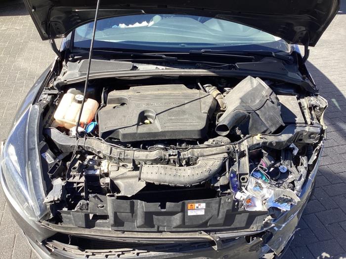 Used Engine Ford Focus 3 Wagon 2.0 TDCi 16V 150 Price € 2.250,00 Margin scheme offered by Gebr Opdam B.V.