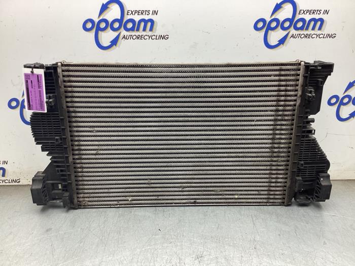 Usagé Radiateur Mercedes A (177.0) 1.3 A-180 Turbo 16V Prix € 200,00 Règlement à la marge proposé par Gebr Opdam B.V.
