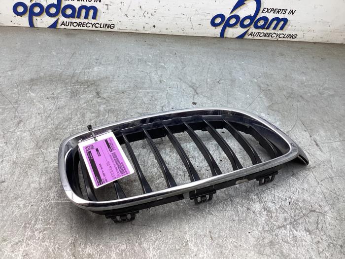 Używane Grill BMW 4 serie Gran Coupe (F36) 420i 2.0 TwinPower Turbo 16V Cena € 30,00 Procedura marży oferowane przez Gebr Opdam B.V.