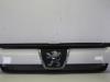 Grille from a Peugeot Boxer (244), 2001 / 2006 2.0 HDi, Delivery, Diesel, 1.997cc, 62kW (84pk), FWD, DW10; RHV, 2002-04 / 2006-06 2003