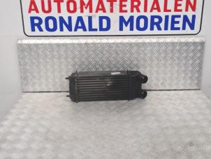 Gebrauchte Ladeluftkühler Peugeot 207/207+ (WA/WC/WM) 1.6 HDi 16V Preis € 79,00 Margenregelung angeboten von Automaterialen Ronald Morien B.V.