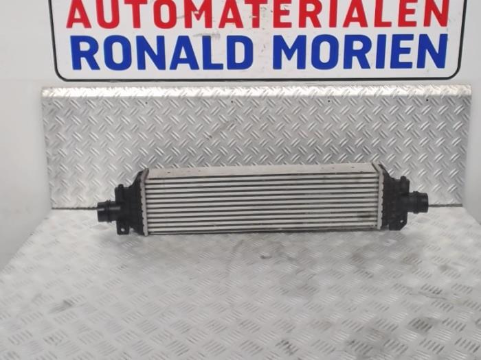 Usados Intercooler Opel Mokka/Mokka X 1.6 CDTI 16V 4x2 Precio € 95,00 Norma de margen ofrecido por Automaterialen Ronald Morien B.V.