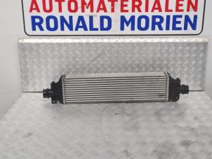 Gebrauchte Ladeluftkühler Opel Mokka/Mokka X 1.6 CDTI 16V 4x2 Preis € 95,00 Margenregelung angeboten von Automaterialen Ronald Morien B.V.