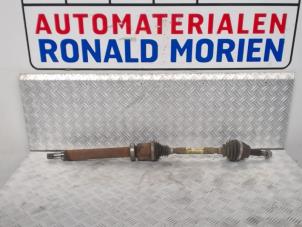 Usagé Arbre de transmission avant droit Ford Courier Prix € 145,00 Règlement à la marge proposé par Automaterialen Ronald Morien B.V.