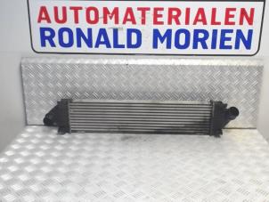 Używane Chlodnica miedzystopniowa Ford Mondeo Cena € 89,00 Procedura marży oferowane przez Automaterialen Ronald Morien B.V.