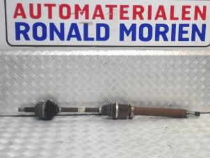 Used Front drive shaft, right Ford Fiesta 6 (JA8) 1.0 EcoBoost 12V 100 Price € 49,00 Margin scheme offered by Automaterialen Ronald Morien B.V.