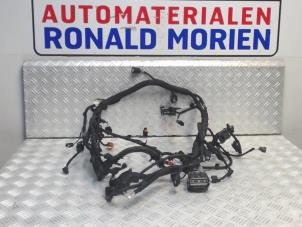 Used Wiring harness Ford Fiesta 6 (JA8) 1.0 EcoBoost 12V 100 Price € 195,00 Margin scheme offered by Automaterialen Ronald Morien B.V.